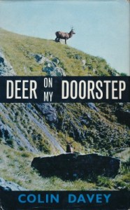 Deer on my Doorstep by Colin Davey