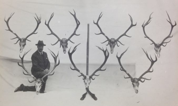 10005906_1690370004534615_2785732107488293346_o